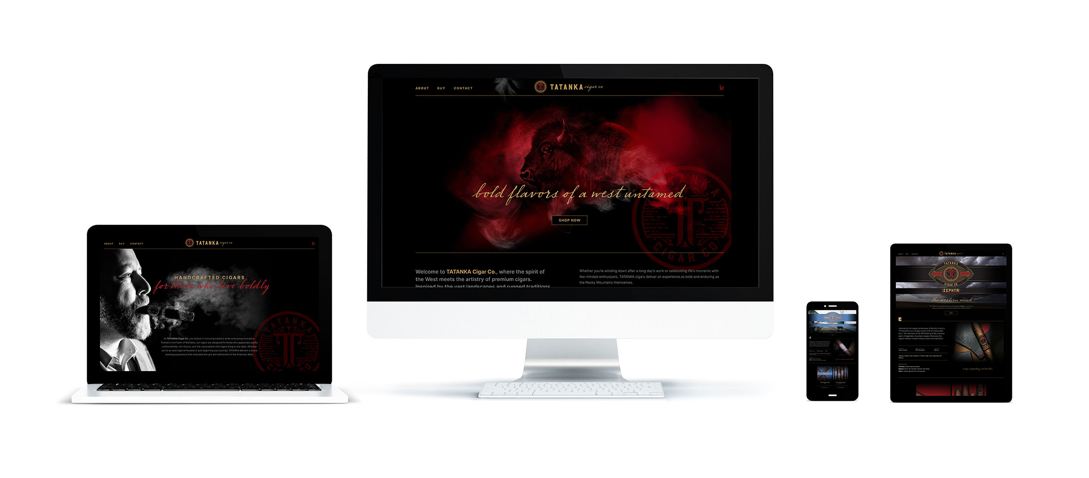 Why Choose Edge Marketing and Design: Helena's Web Developer for Business Success